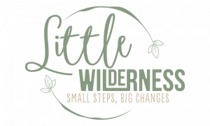 Little Wilderness