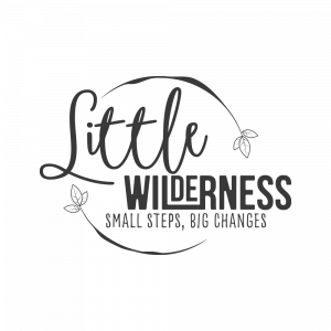 Little Wilderness
