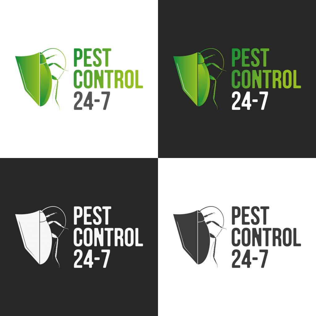 Pest Control 24/7 BrightBox Designs